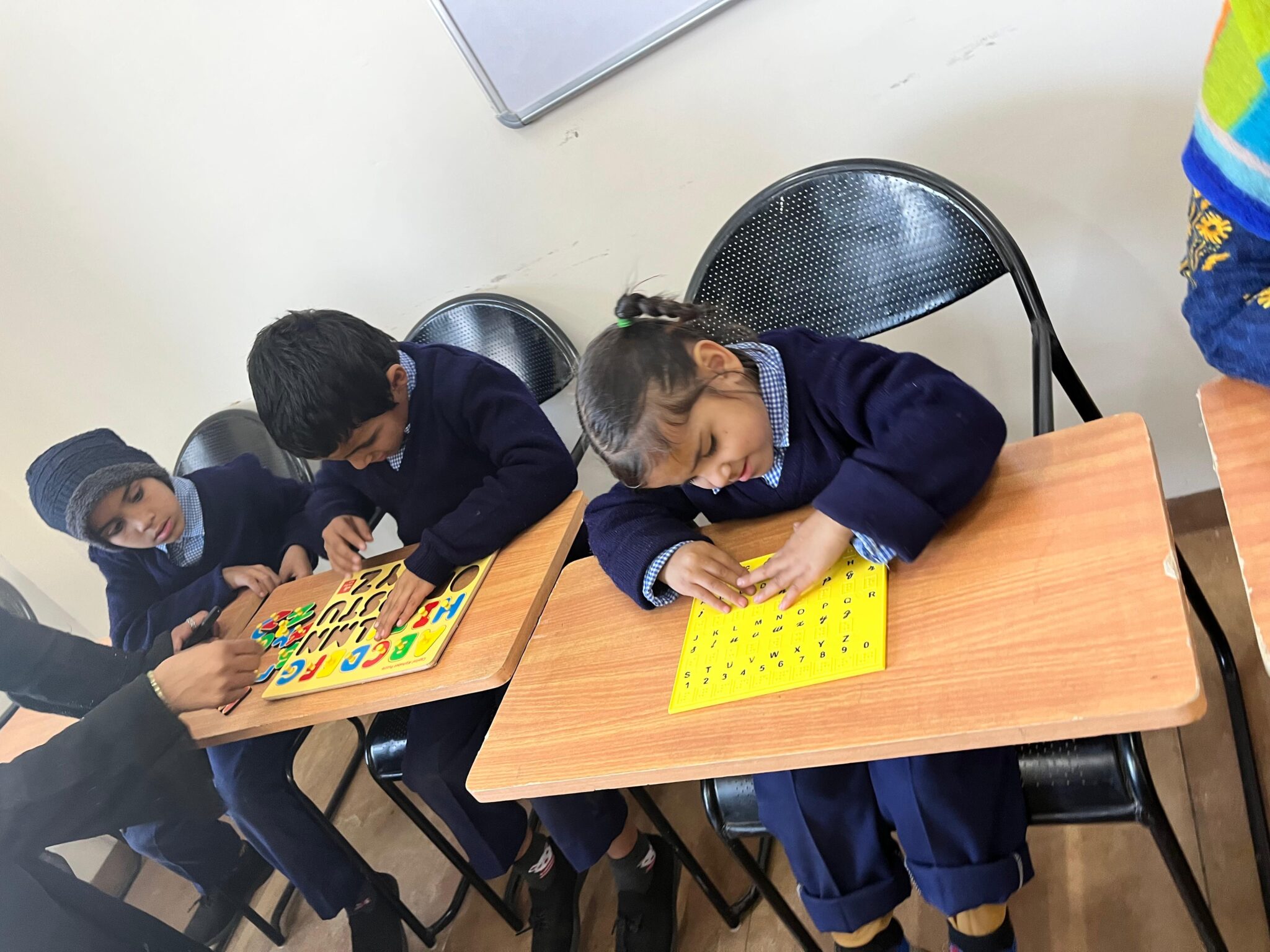 Inclusive Education Program (34)